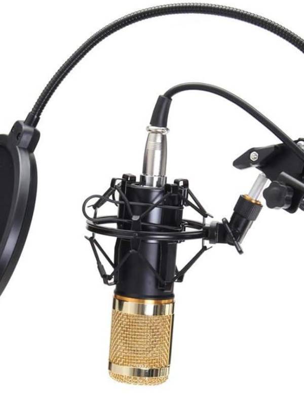 WRADER Condenser DM 800 Studio Mic