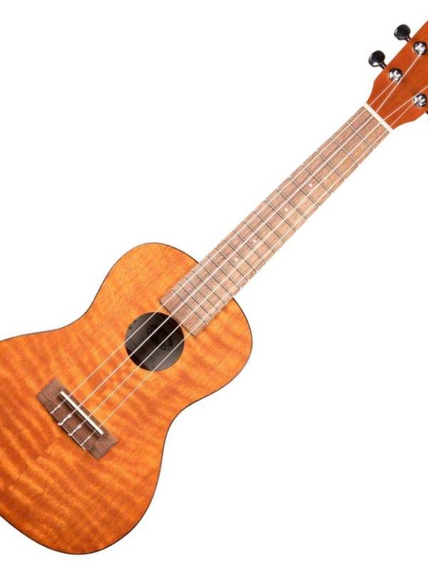 KALA KA-CEM ACOUSTIC BASS
